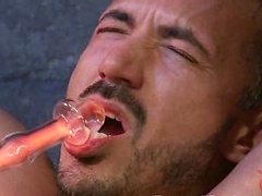 Damien Stone. Posted by: Bound Gods