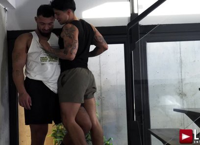 NIK FROS TOPS ALESSANDRO LEE INTIMATELY