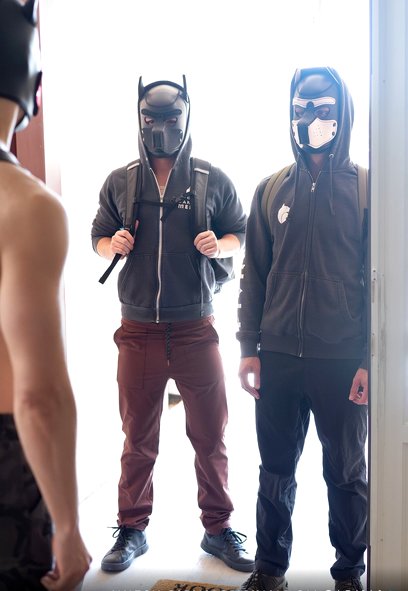 Pup Play Vol.1, Title: House Pups